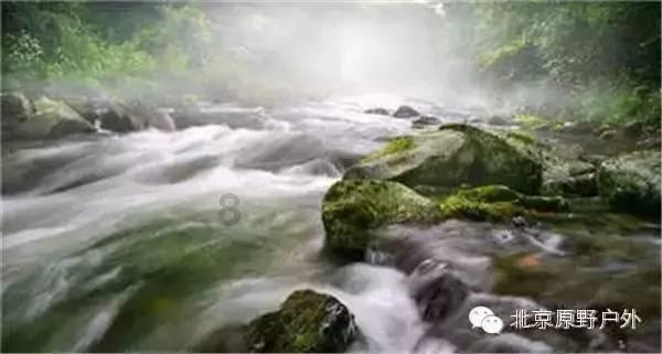 以撒的结合：重生