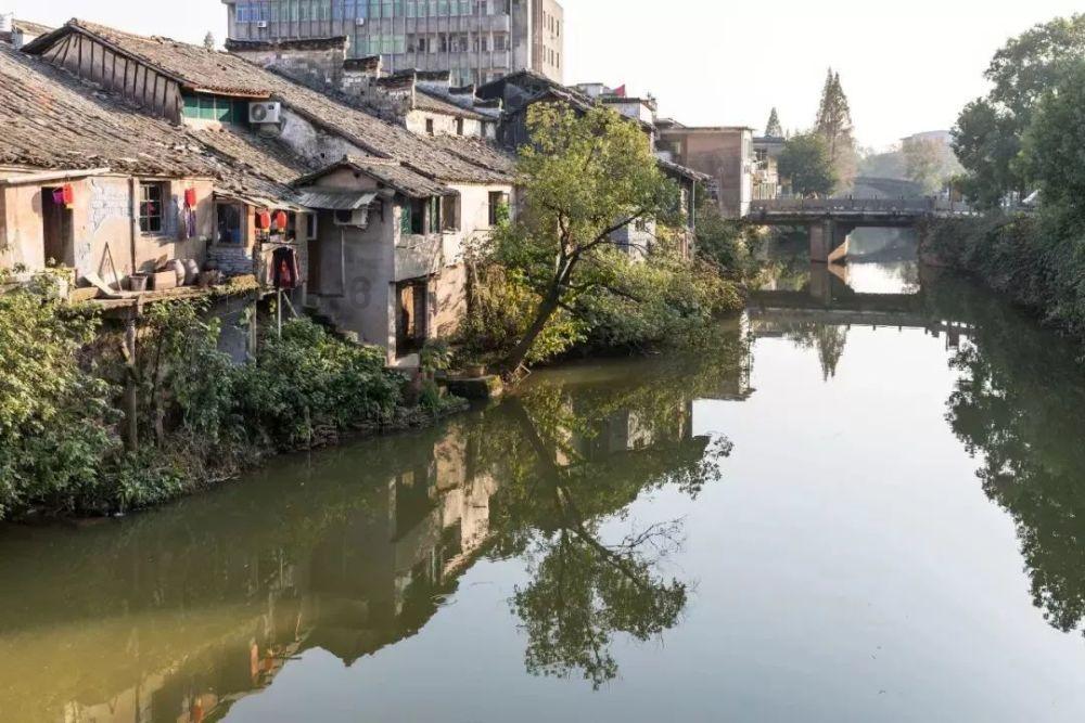 鱼香干锅鸭头怎么做？游戏画面